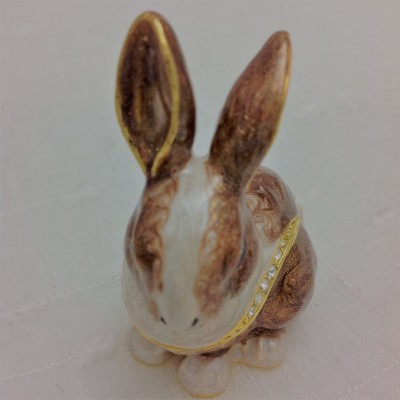 Brown Bunny Wabbit
